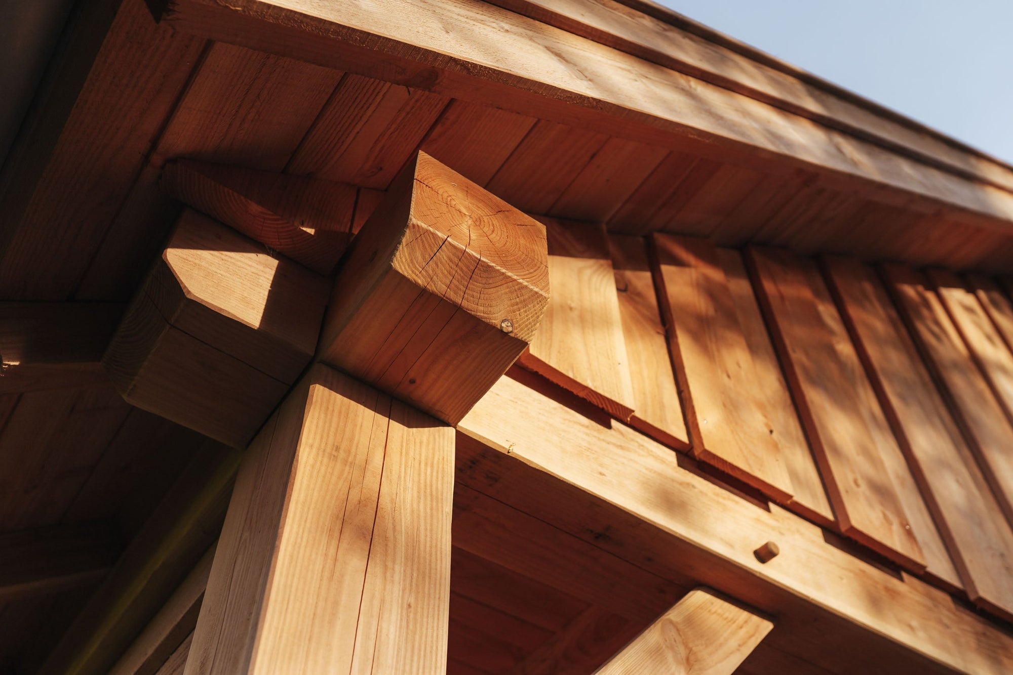 CONSTRUCTIE & HOUT