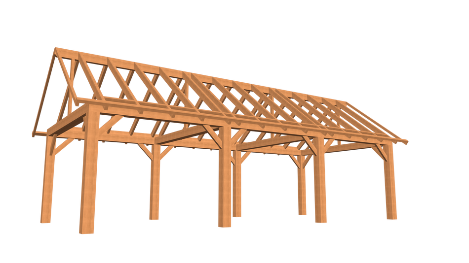 Bouwpakket zadeldak 900 x 400 cm